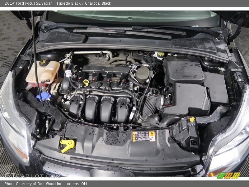 Tuxedo Black / Charcoal Black 2014 Ford Focus SE Sedan