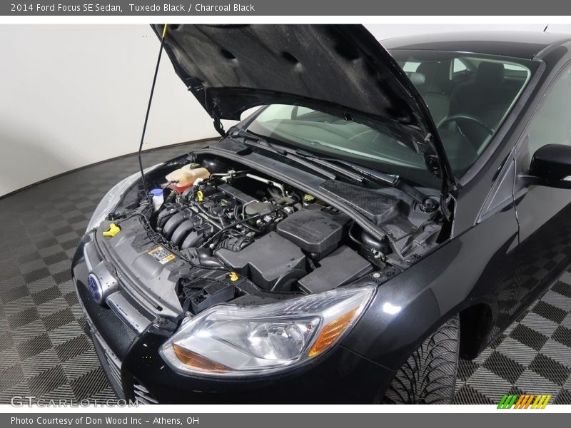 Tuxedo Black / Charcoal Black 2014 Ford Focus SE Sedan