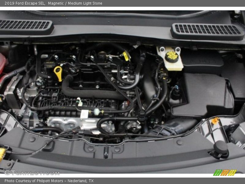 Magnetic / Medium Light Stone 2019 Ford Escape SEL