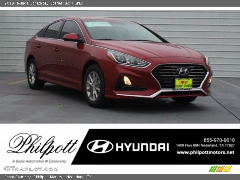 Scarlet Red / Gray 2019 Hyundai Sonata SE