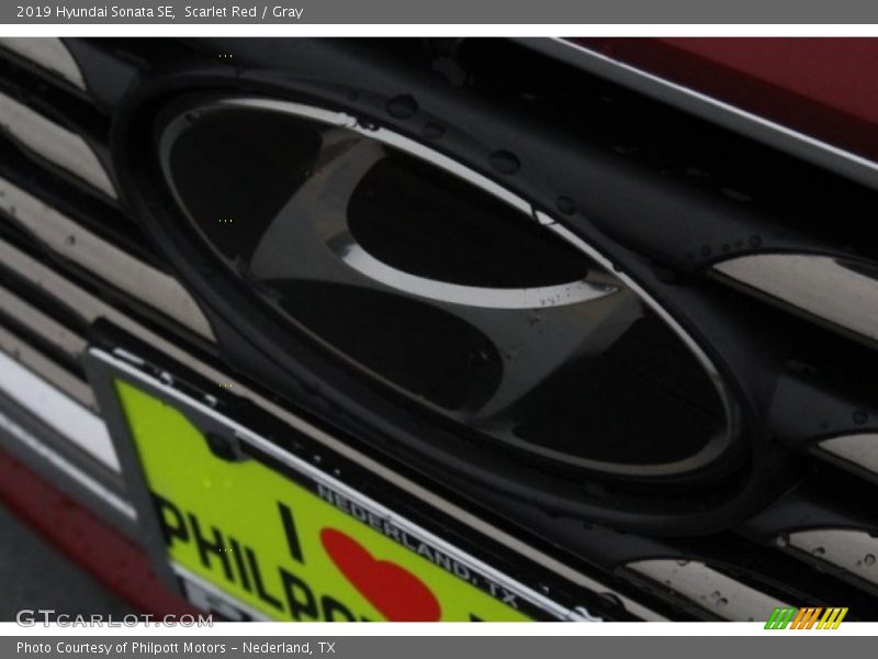 Scarlet Red / Gray 2019 Hyundai Sonata SE