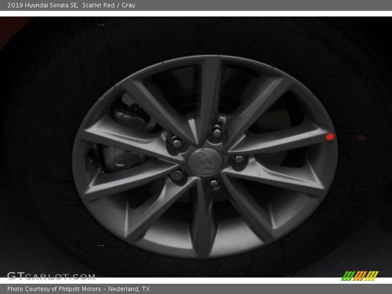 Scarlet Red / Gray 2019 Hyundai Sonata SE