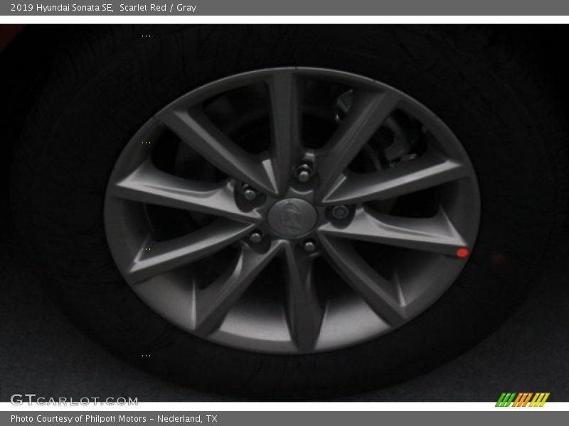 Scarlet Red / Gray 2019 Hyundai Sonata SE