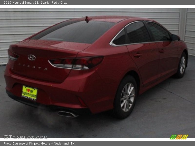 Scarlet Red / Gray 2019 Hyundai Sonata SE