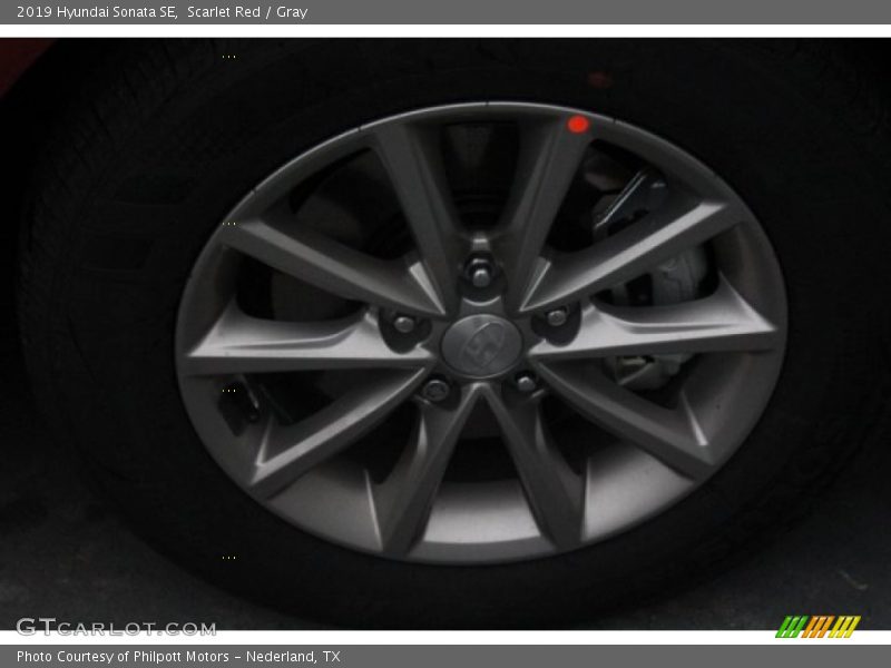 Scarlet Red / Gray 2019 Hyundai Sonata SE