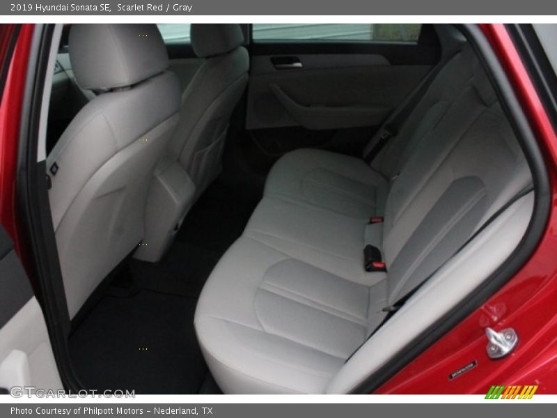 Scarlet Red / Gray 2019 Hyundai Sonata SE