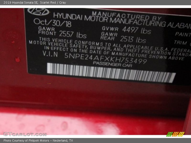 Scarlet Red / Gray 2019 Hyundai Sonata SE