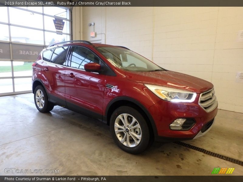 Ruby Red / Chromite Gray/Charcoal Black 2019 Ford Escape SEL 4WD