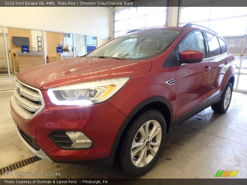 Ruby Red / Chromite Gray/Charcoal Black 2019 Ford Escape SEL 4WD