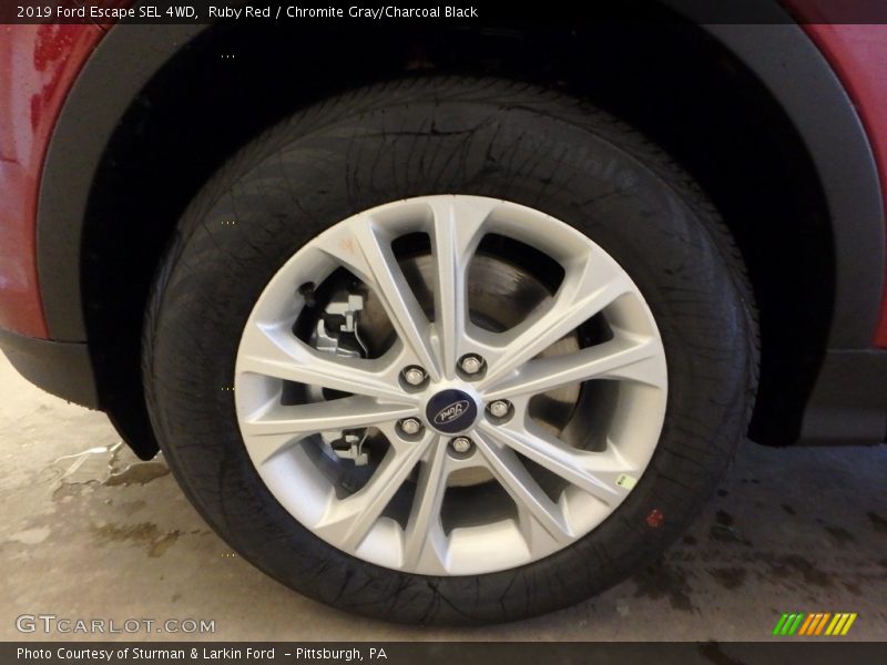 Ruby Red / Chromite Gray/Charcoal Black 2019 Ford Escape SEL 4WD