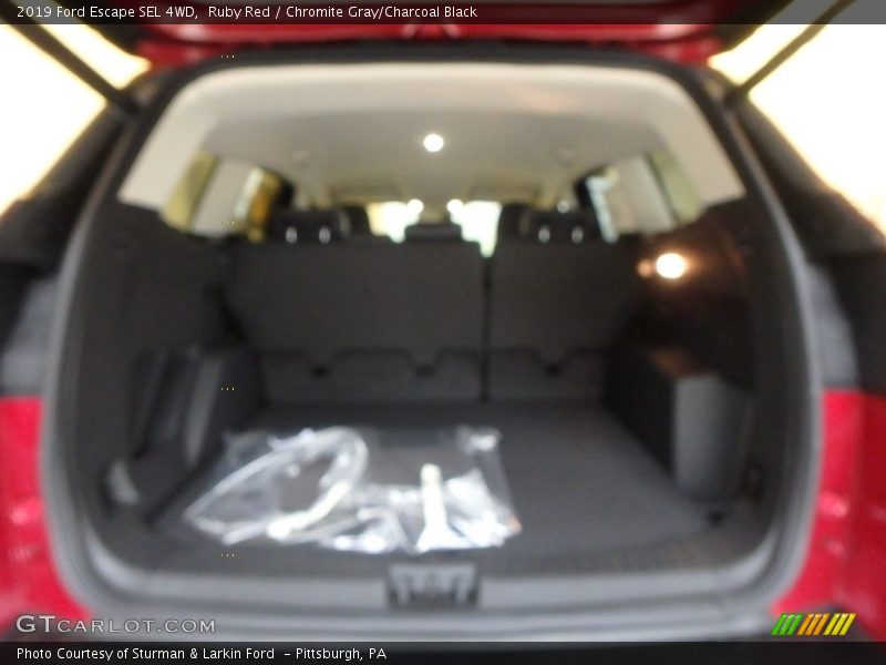 Ruby Red / Chromite Gray/Charcoal Black 2019 Ford Escape SEL 4WD