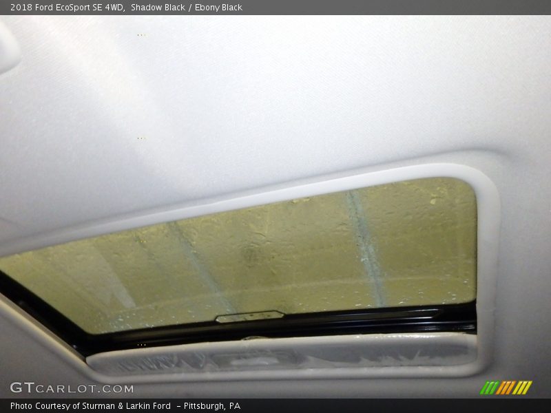 Shadow Black / Ebony Black 2018 Ford EcoSport SE 4WD