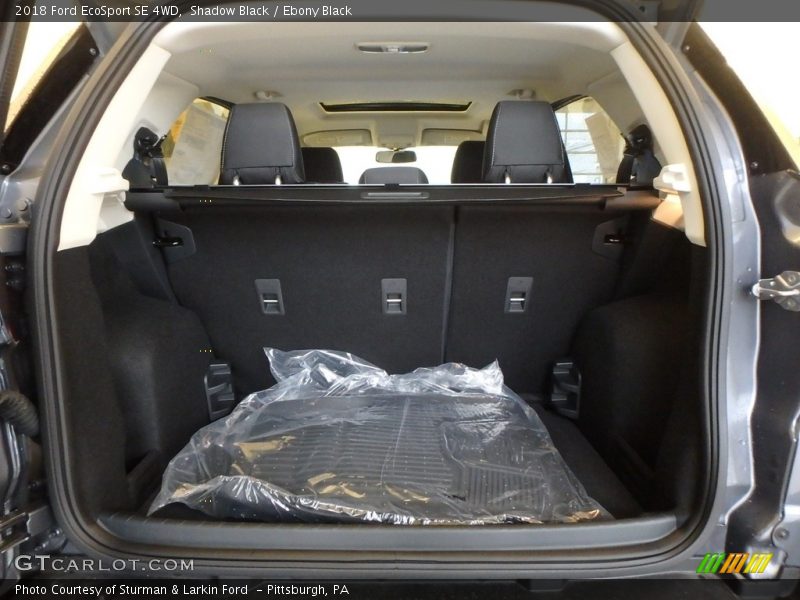 Shadow Black / Ebony Black 2018 Ford EcoSport SE 4WD