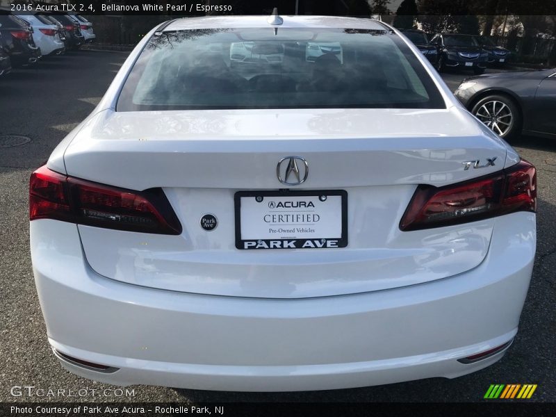 Bellanova White Pearl / Espresso 2016 Acura TLX 2.4