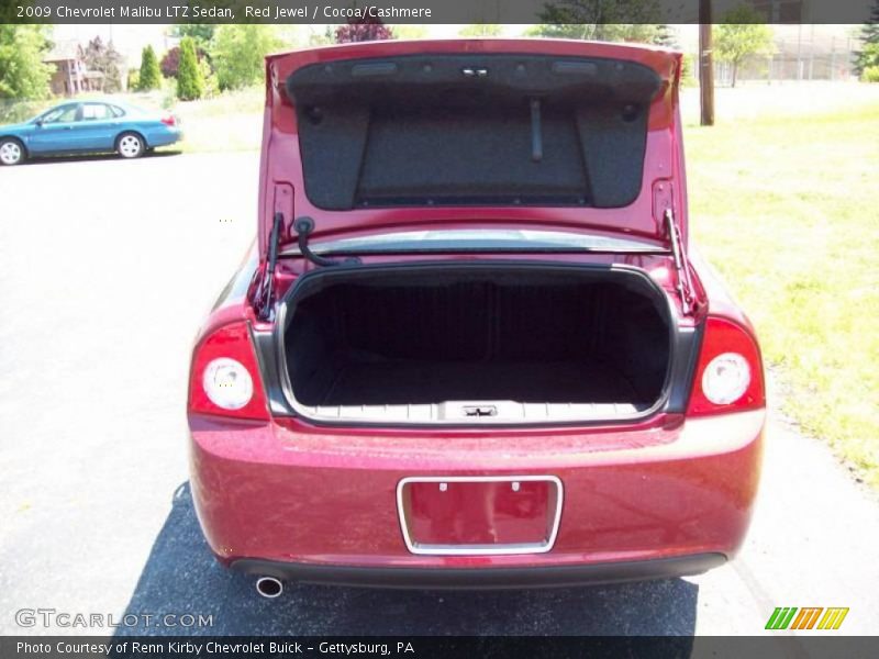 Red Jewel / Cocoa/Cashmere 2009 Chevrolet Malibu LTZ Sedan