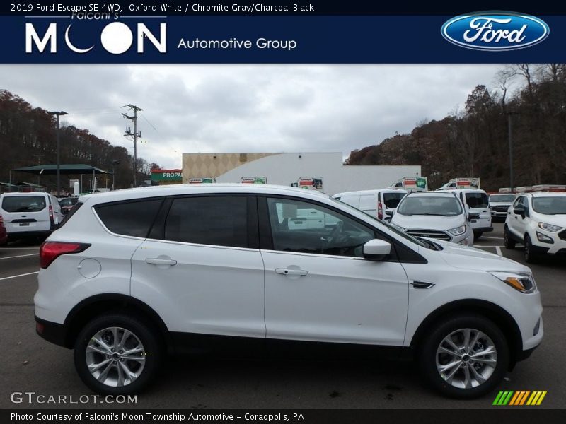 Oxford White / Chromite Gray/Charcoal Black 2019 Ford Escape SE 4WD