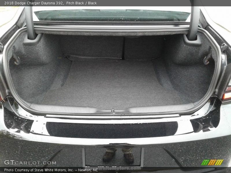 Pitch Black / Black 2018 Dodge Charger Daytona 392