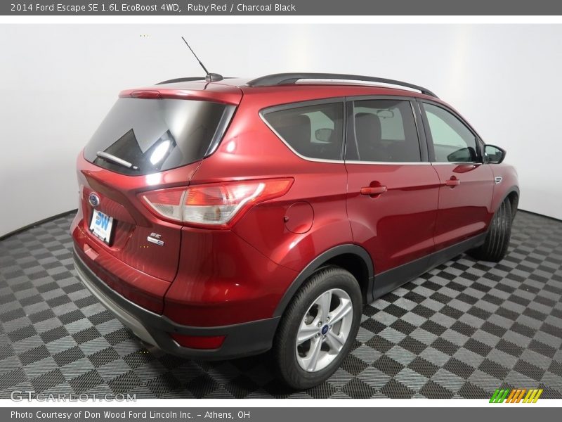 Ruby Red / Charcoal Black 2014 Ford Escape SE 1.6L EcoBoost 4WD