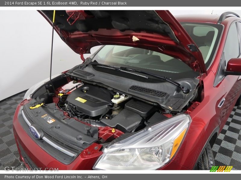 Ruby Red / Charcoal Black 2014 Ford Escape SE 1.6L EcoBoost 4WD