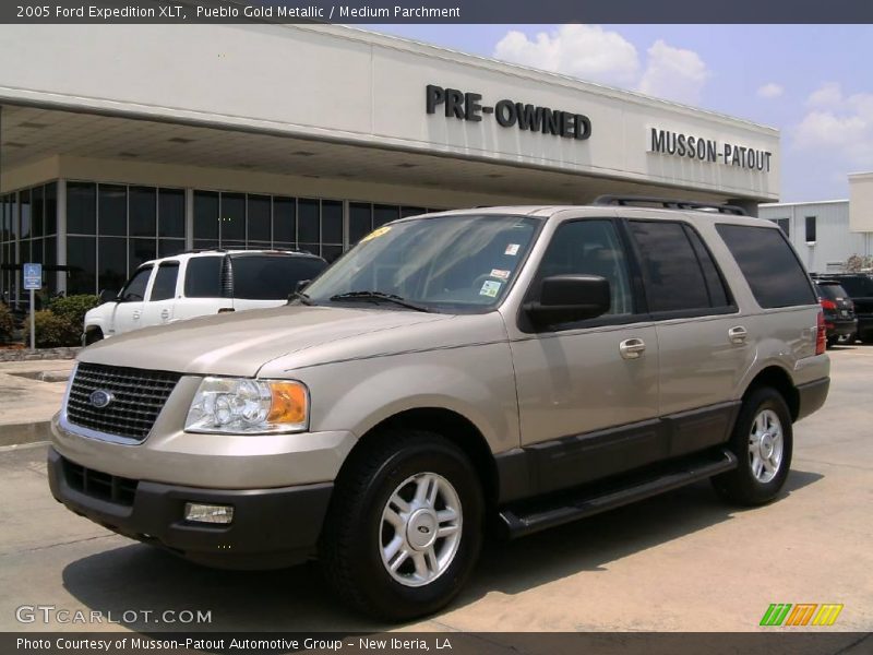 Pueblo Gold Metallic / Medium Parchment 2005 Ford Expedition XLT
