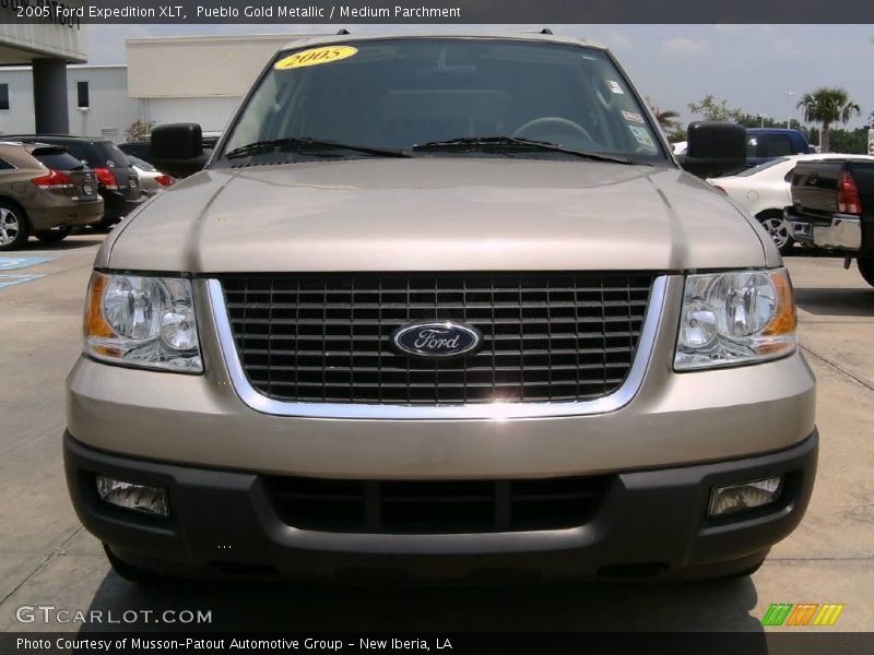 Pueblo Gold Metallic / Medium Parchment 2005 Ford Expedition XLT