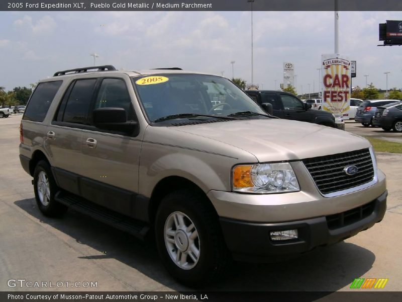 Pueblo Gold Metallic / Medium Parchment 2005 Ford Expedition XLT