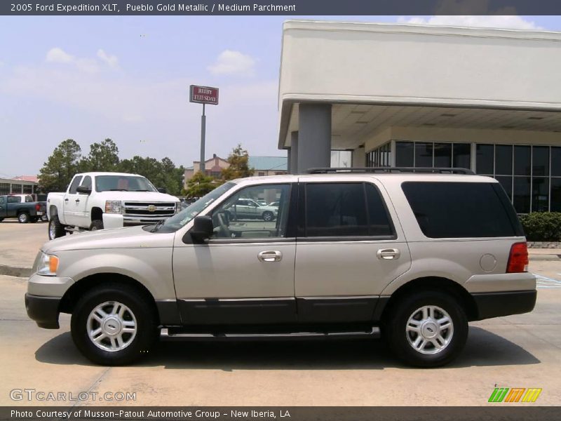 Pueblo Gold Metallic / Medium Parchment 2005 Ford Expedition XLT