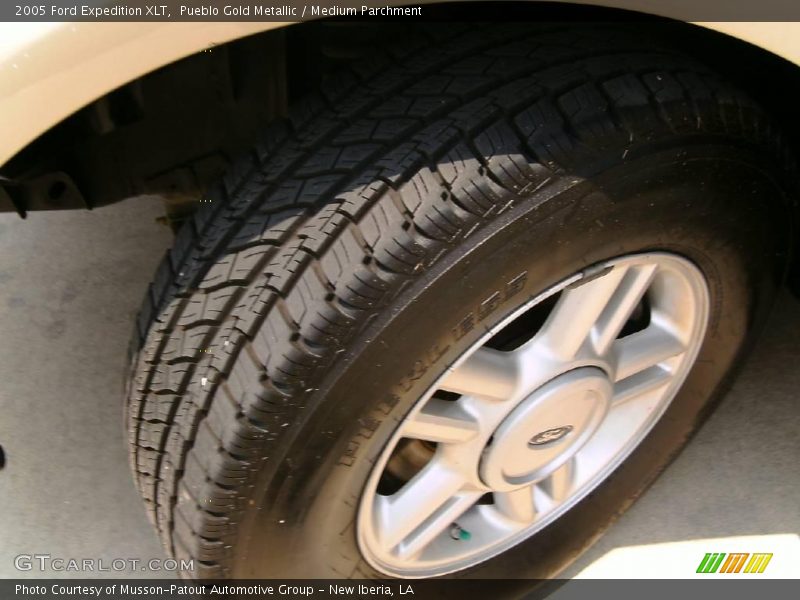 Pueblo Gold Metallic / Medium Parchment 2005 Ford Expedition XLT