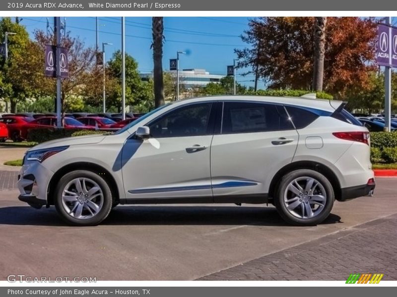 White Diamond Pearl / Espresso 2019 Acura RDX Advance