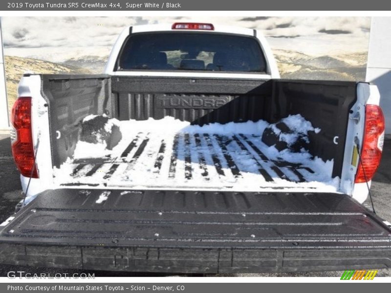 Super White / Black 2019 Toyota Tundra SR5 CrewMax 4x4
