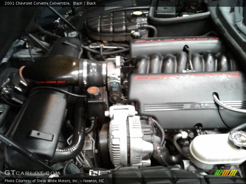 Black / Black 2001 Chevrolet Corvette Convertible