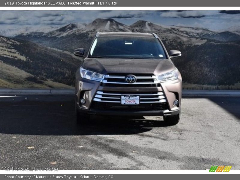 Toasted Walnut Pearl / Black 2019 Toyota Highlander XLE AWD
