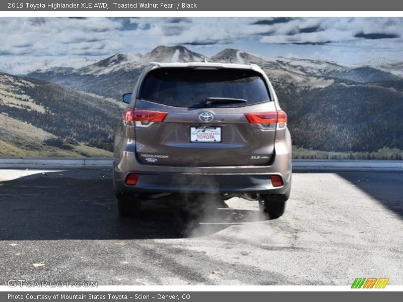 Toasted Walnut Pearl / Black 2019 Toyota Highlander XLE AWD