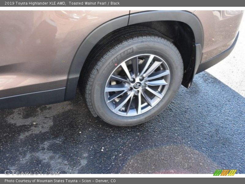 Toasted Walnut Pearl / Black 2019 Toyota Highlander XLE AWD