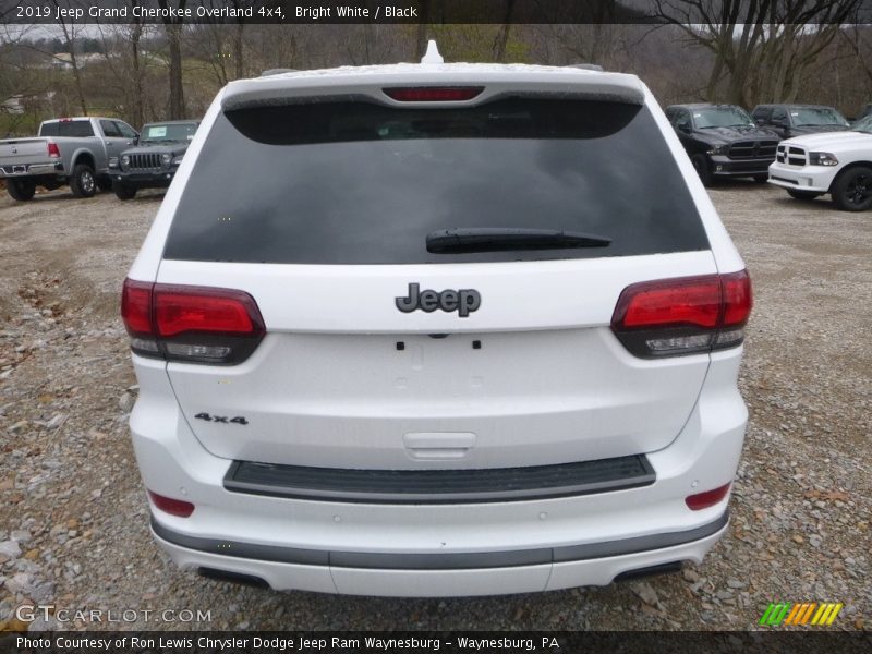 Bright White / Black 2019 Jeep Grand Cherokee Overland 4x4