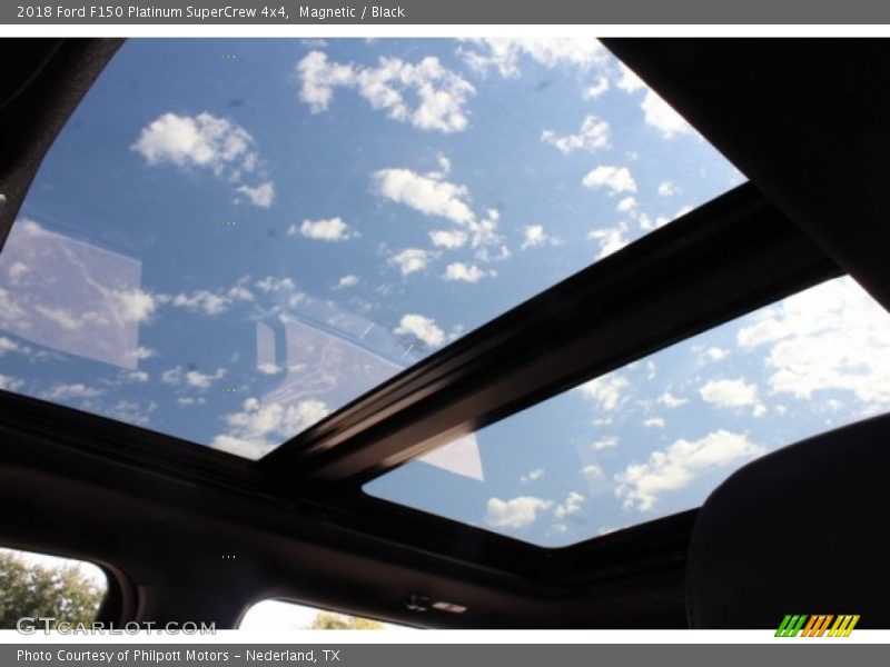 Magnetic / Black 2018 Ford F150 Platinum SuperCrew 4x4