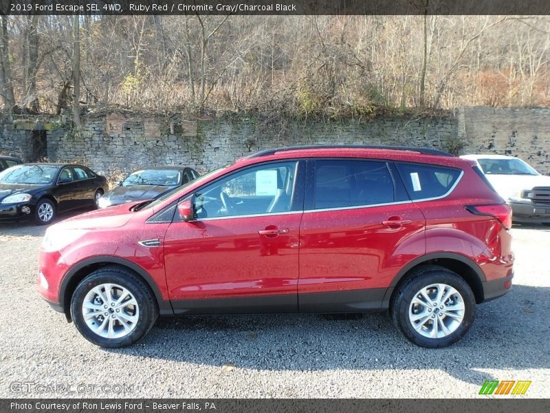 Ruby Red / Chromite Gray/Charcoal Black 2019 Ford Escape SEL 4WD