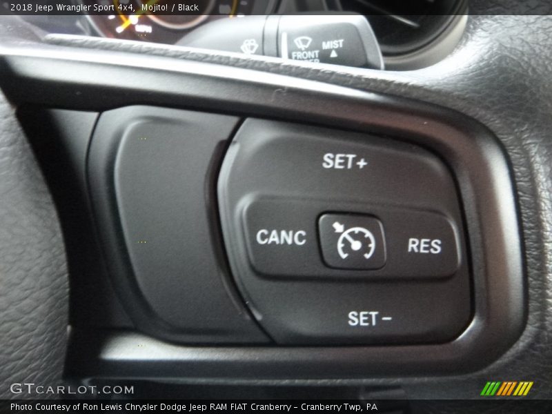 Mojito! / Black 2018 Jeep Wrangler Sport 4x4