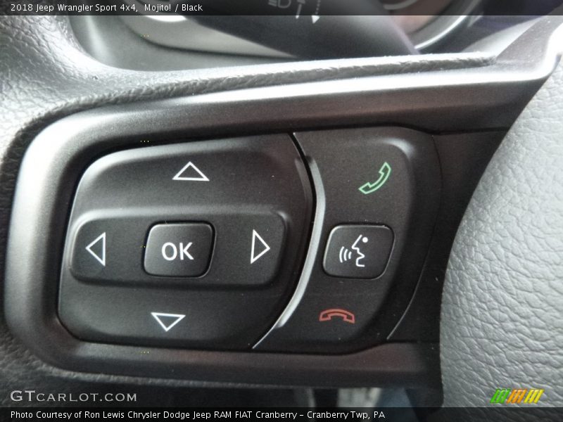 Mojito! / Black 2018 Jeep Wrangler Sport 4x4