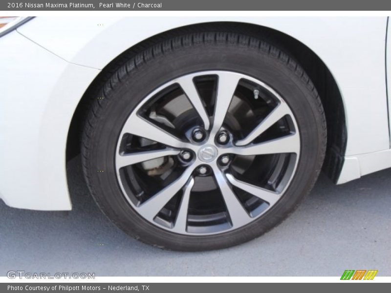 Pearl White / Charcoal 2016 Nissan Maxima Platinum