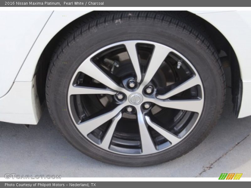 Pearl White / Charcoal 2016 Nissan Maxima Platinum