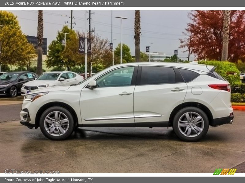 White Diamond Pearl / Parchment 2019 Acura RDX Advance AWD