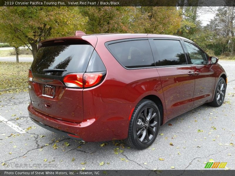 Velvet Red Pearl / Black/Black 2019 Chrysler Pacifica Touring Plus
