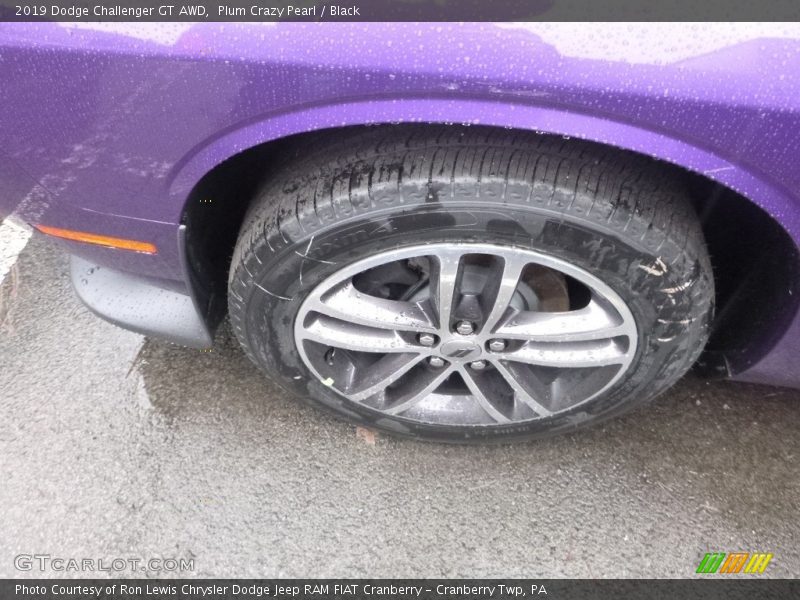 Plum Crazy Pearl / Black 2019 Dodge Challenger GT AWD