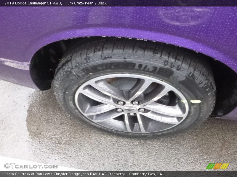 Plum Crazy Pearl / Black 2019 Dodge Challenger GT AWD