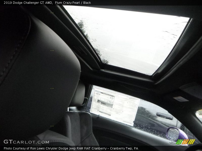 Plum Crazy Pearl / Black 2019 Dodge Challenger GT AWD