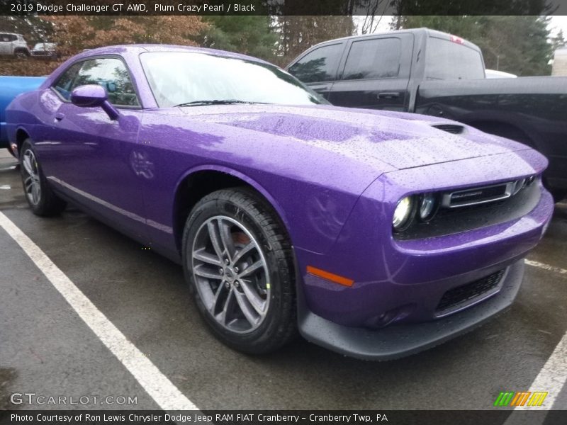 Plum Crazy Pearl / Black 2019 Dodge Challenger GT AWD