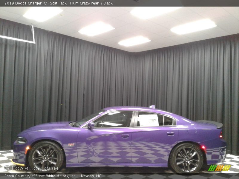 Plum Crazy Pearl / Black 2019 Dodge Charger R/T Scat Pack