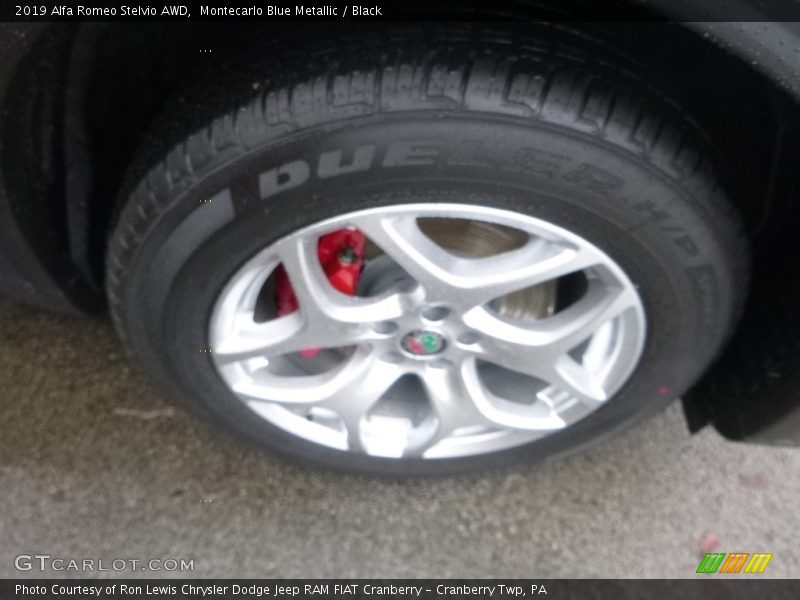 Montecarlo Blue Metallic / Black 2019 Alfa Romeo Stelvio AWD
