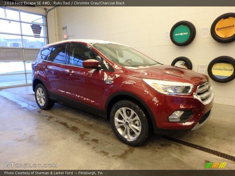 Ruby Red / Chromite Gray/Charcoal Black 2019 Ford Escape SE 4WD